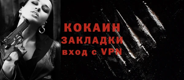 ALPHA PVP Каменка