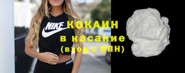 ALPHA PVP Каменка