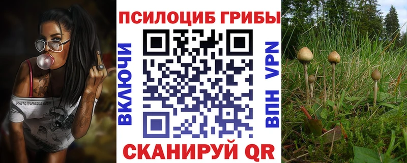 Купить где  Вышний Волочёк  Псилоцибиновые грибы мицелий 
